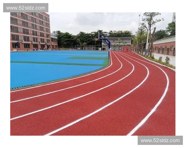 体育工程驱动下的智能装备材料系统与运动表现协同创新研究发展